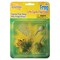 Insect Lore Frog Life Cycle Stages Figure Set 2610 - alternate 1